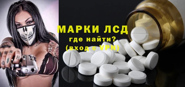 гашик Зерноград