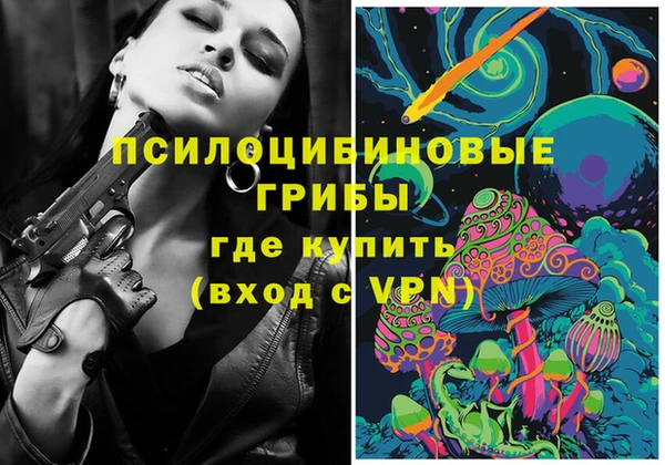 прущая мука Инсар
