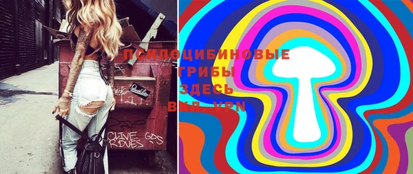 прущая мука Инсар