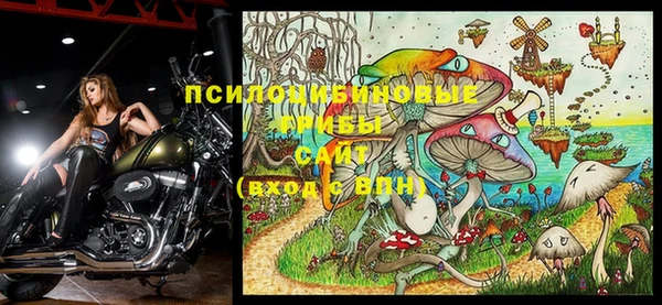 прущая мука Инсар