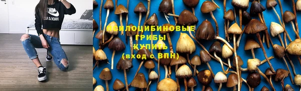 гашик Зерноград