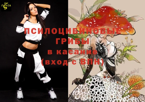 2c-b Зеленодольск