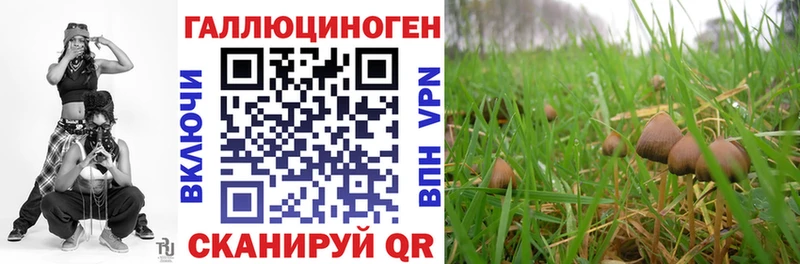 Псилоцибиновые грибы мицелий  Купить где  Невель 